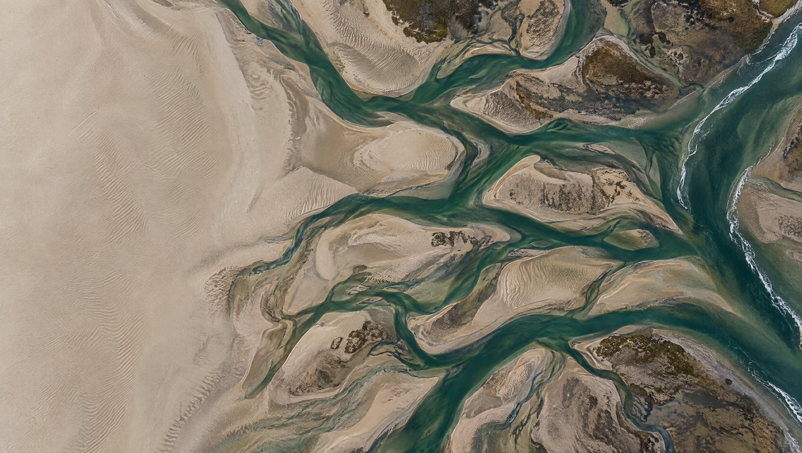 Aerial view straight down onto a Moray Firth estuary at low tide: dark tidal channels branch and rejoin across pale sand like a network diagram.